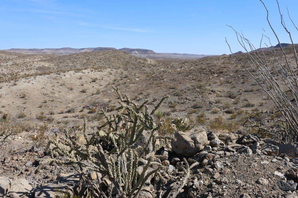 40 acres in Brewster County - photo 13