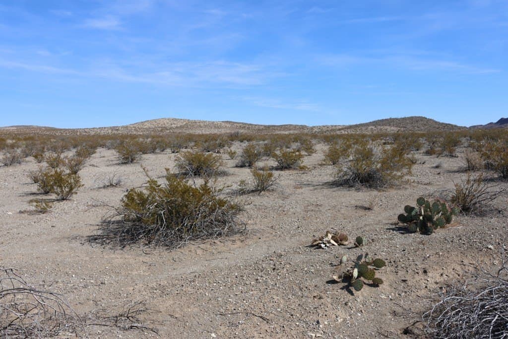 40 acres in Brewster County - photo 16