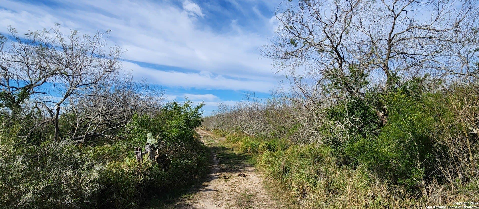 100 acres in Cameron County - photo 13