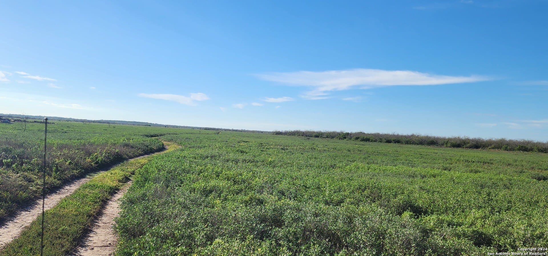 100 acres in Cameron County - photo 5