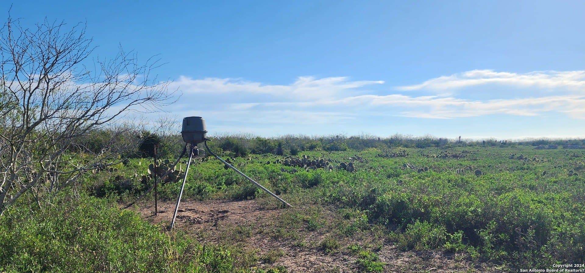 100 acres in Cameron County - photo 4