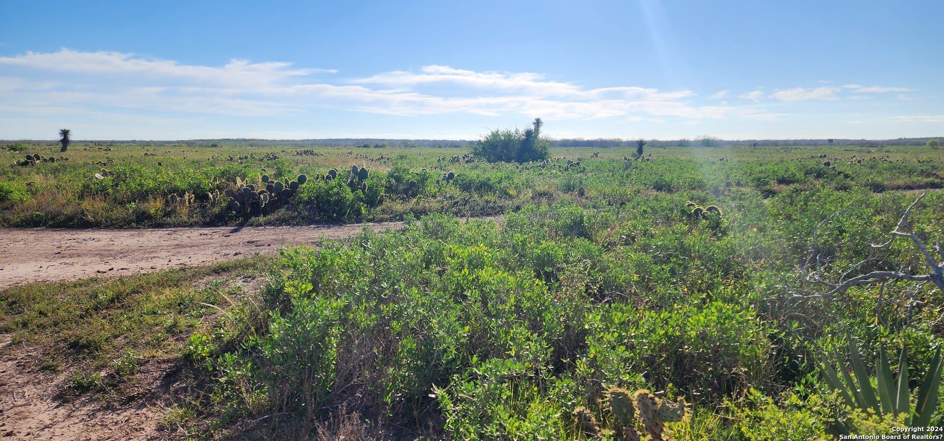 100 acres in Cameron County - photo 6