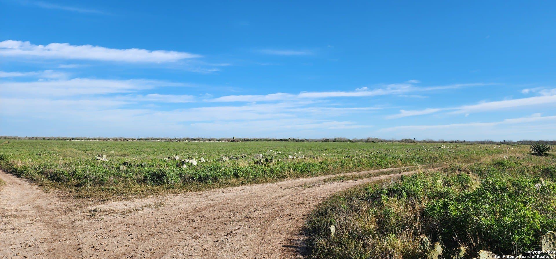 100 acres in Cameron County - photo 7