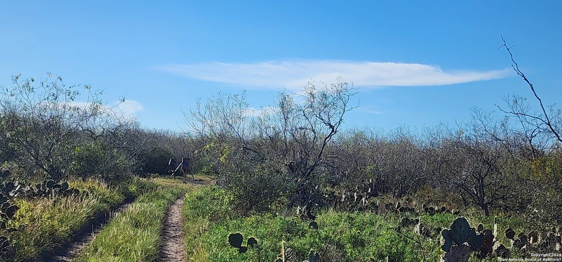 100 acres in Cameron County - photo 14
