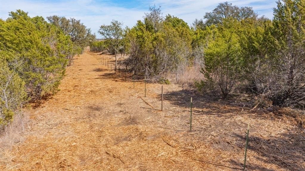 49.03 acres in Erath County - photo 3