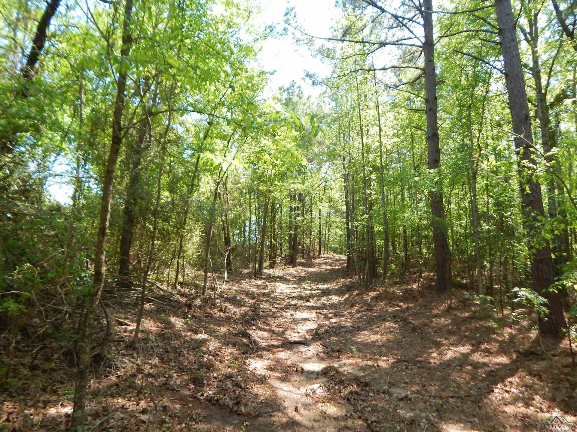 15 acres in Upshur County - photo 2
