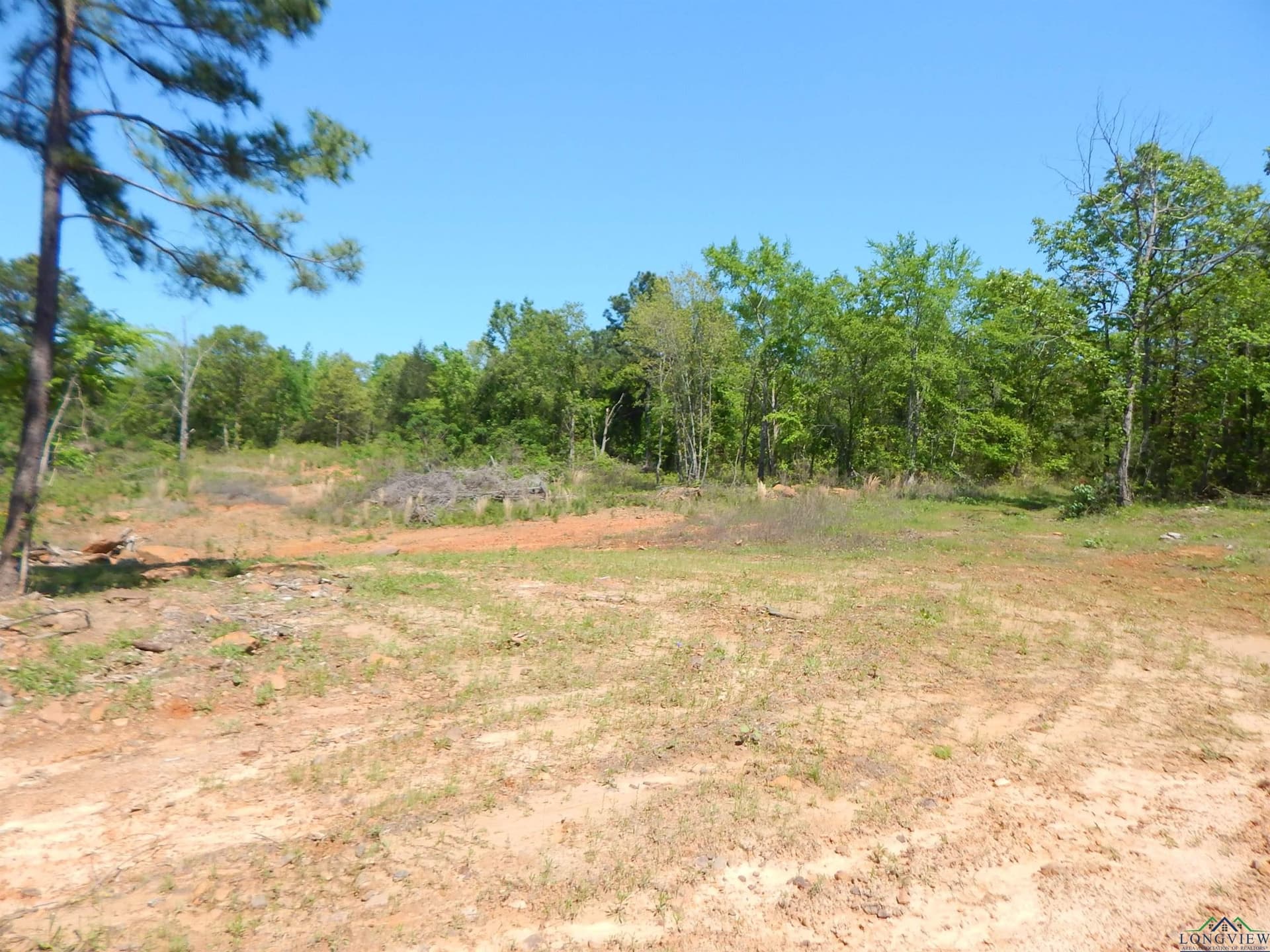 15 acres in Upshur County - photo 5