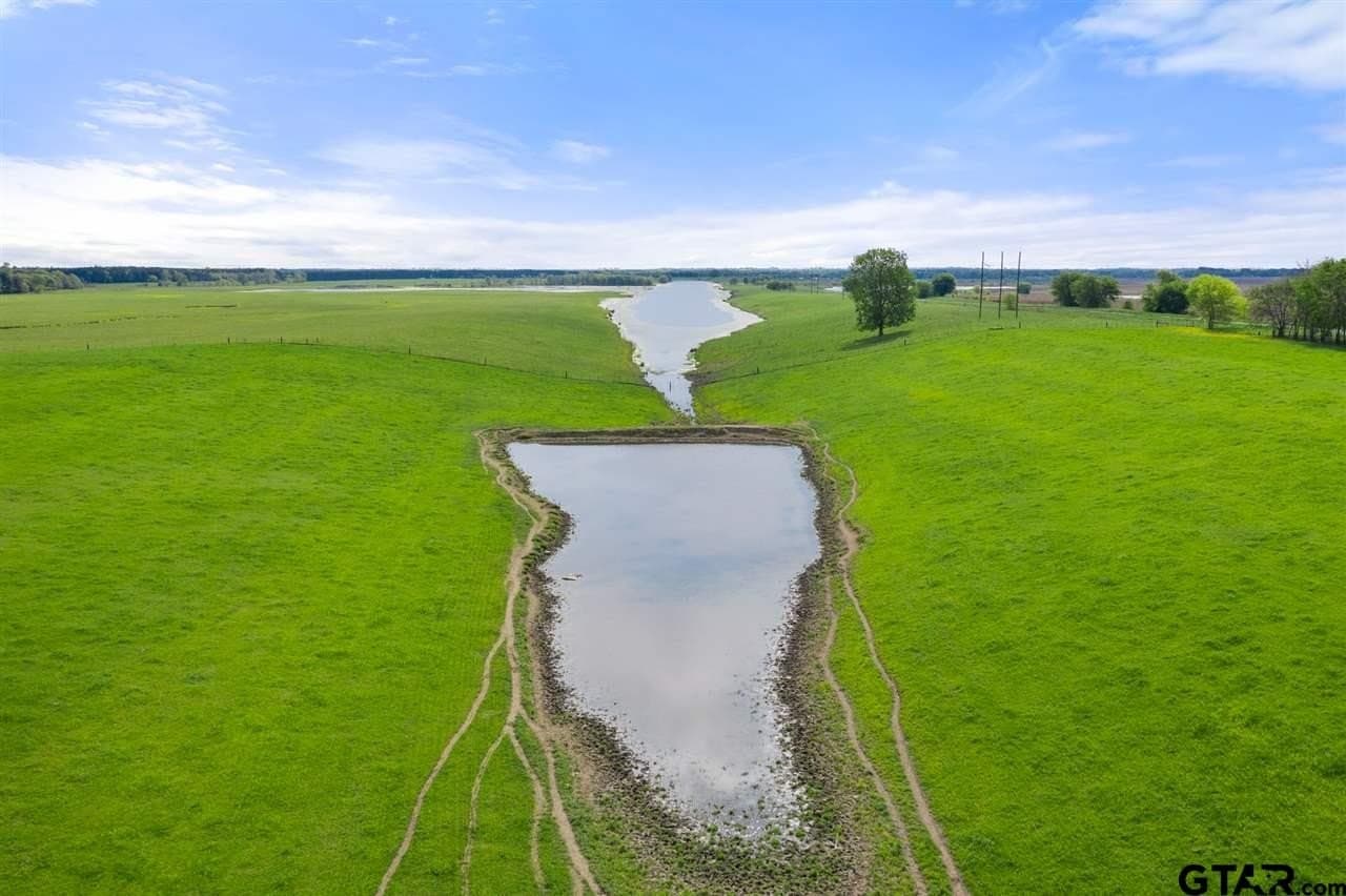 250.5 acres in Titus County - photo 18