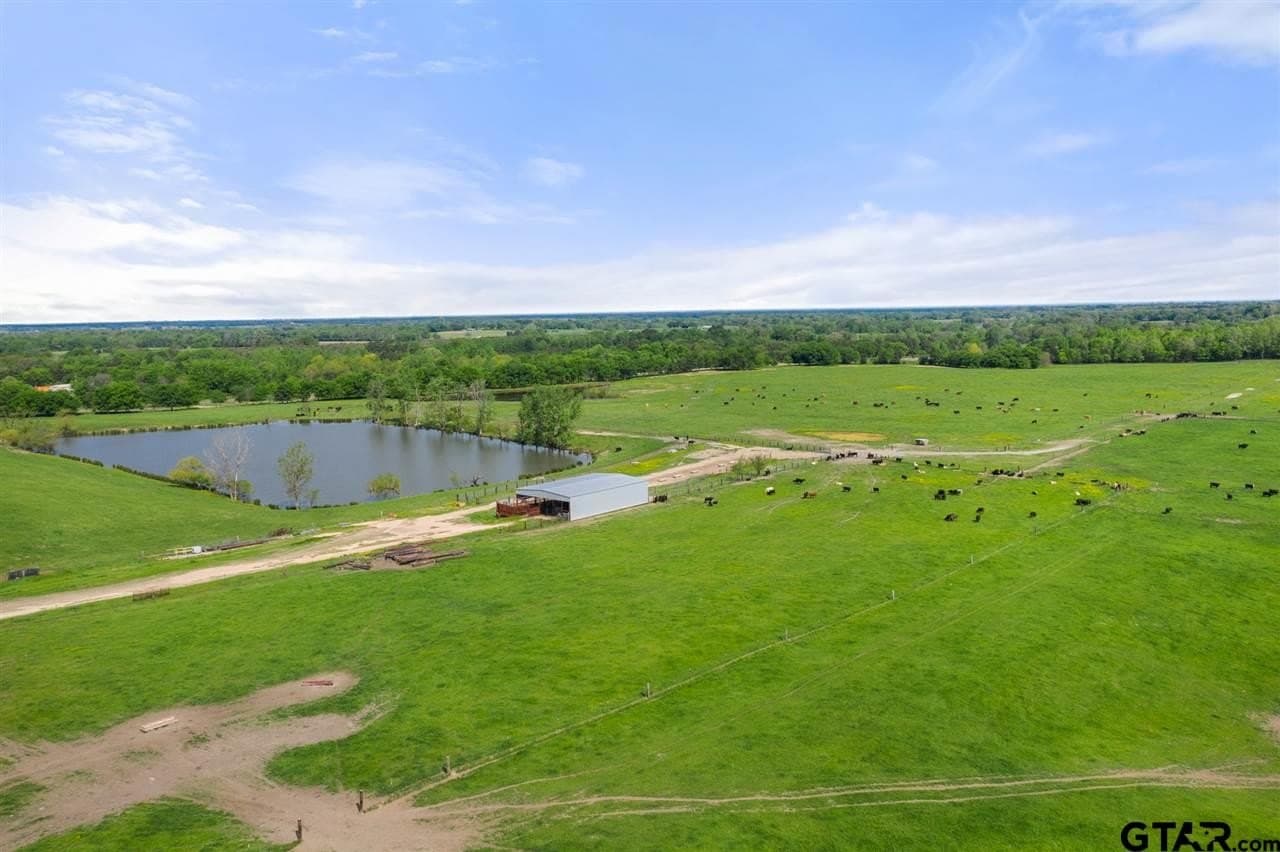 250.5 acres in Titus County - photo 31
