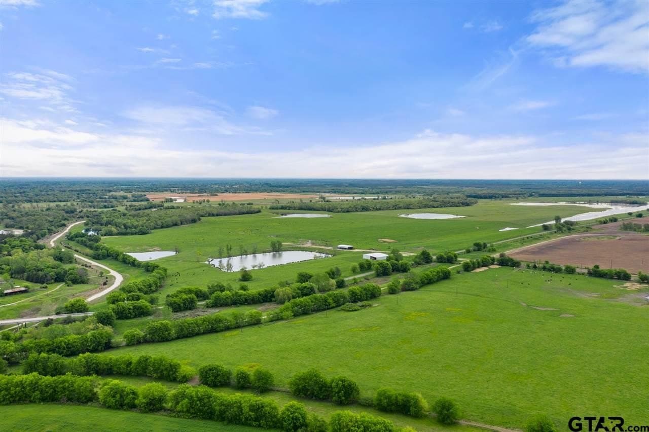 250.5 acres in Titus County - photo 4