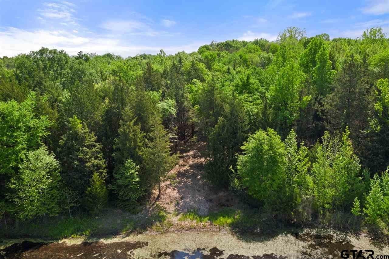 250.5 acres in Titus County - photo 37