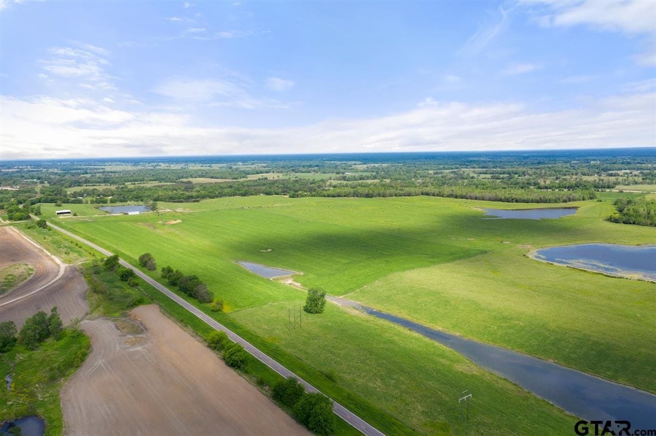 250.5 acres in Titus County - photo 34