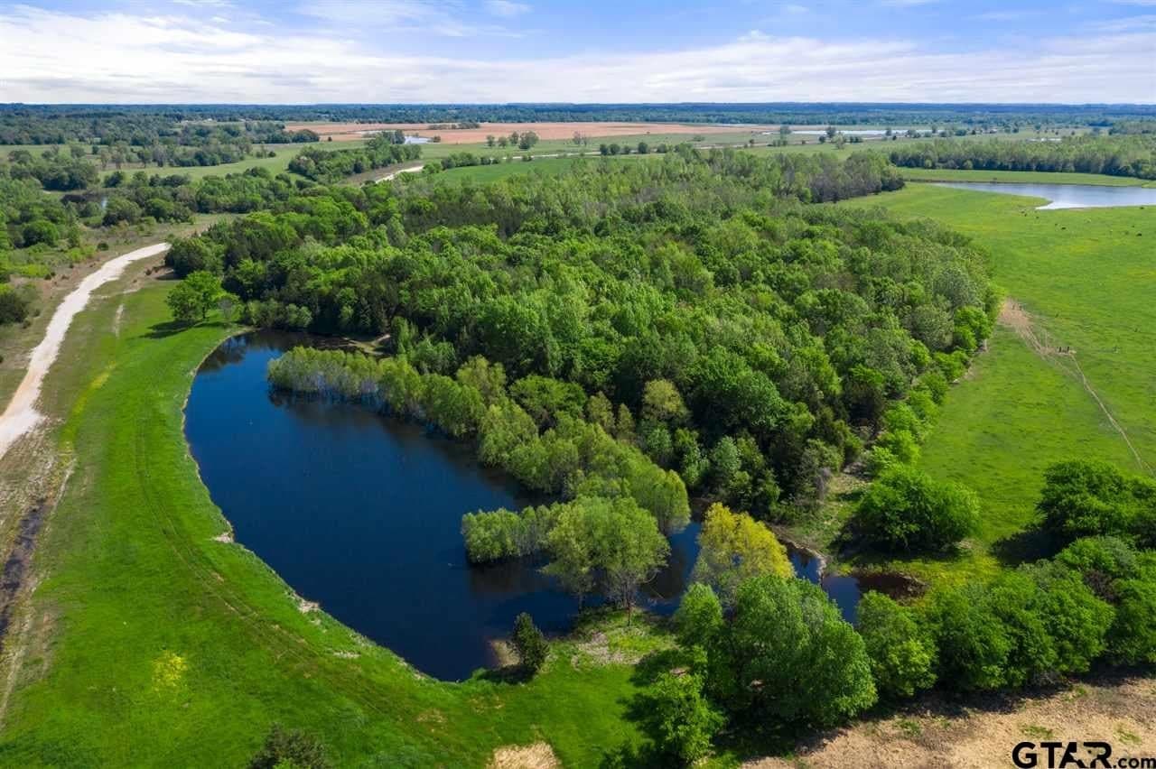 250.5 acres in Titus County - photo 16