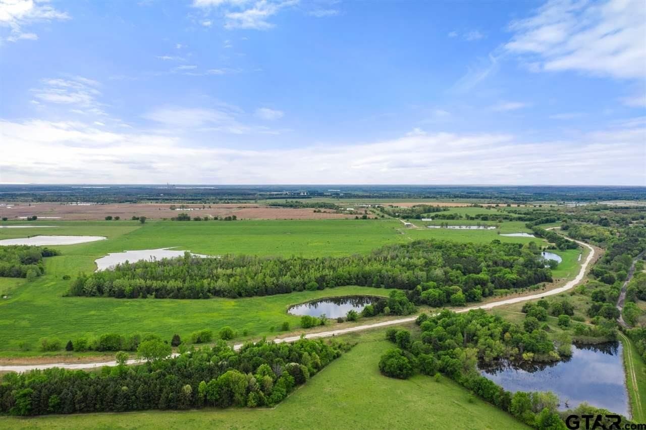 250.5 acres in Titus County - photo 2