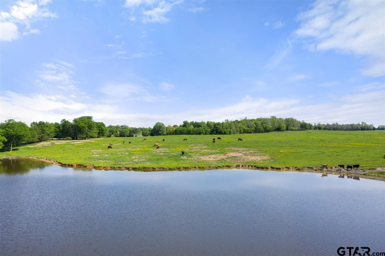 250.5 acres in Titus County - photo 21