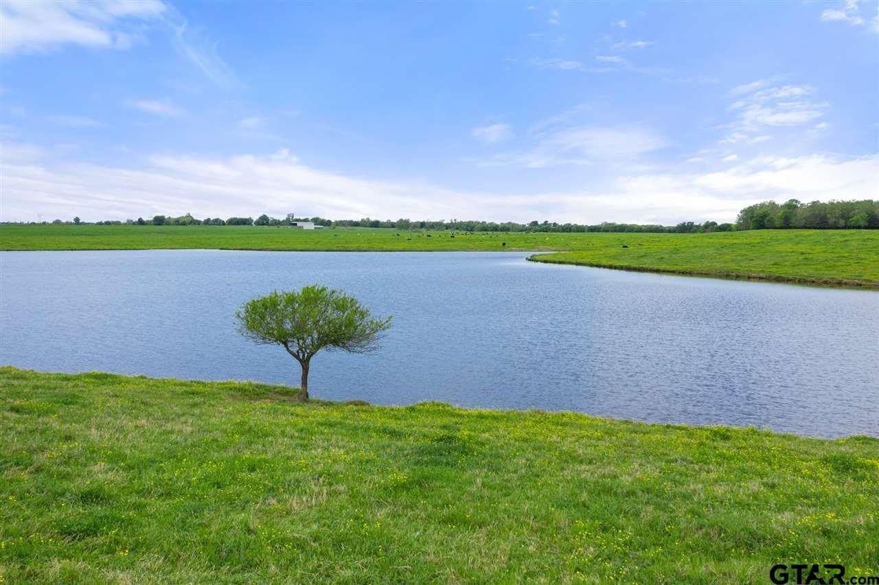 250.5 acres in Titus County - photo 20