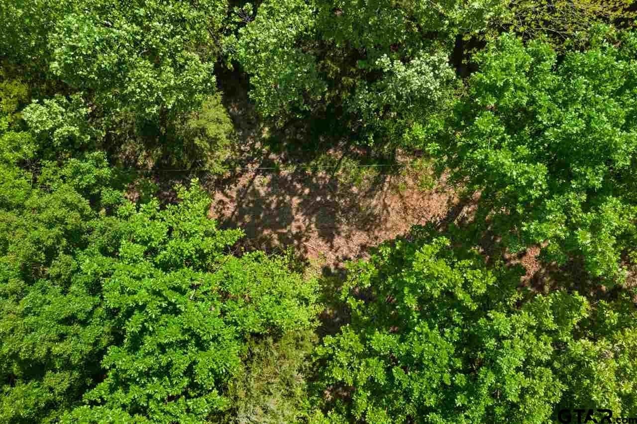 250.5 acres in Titus County - photo 42