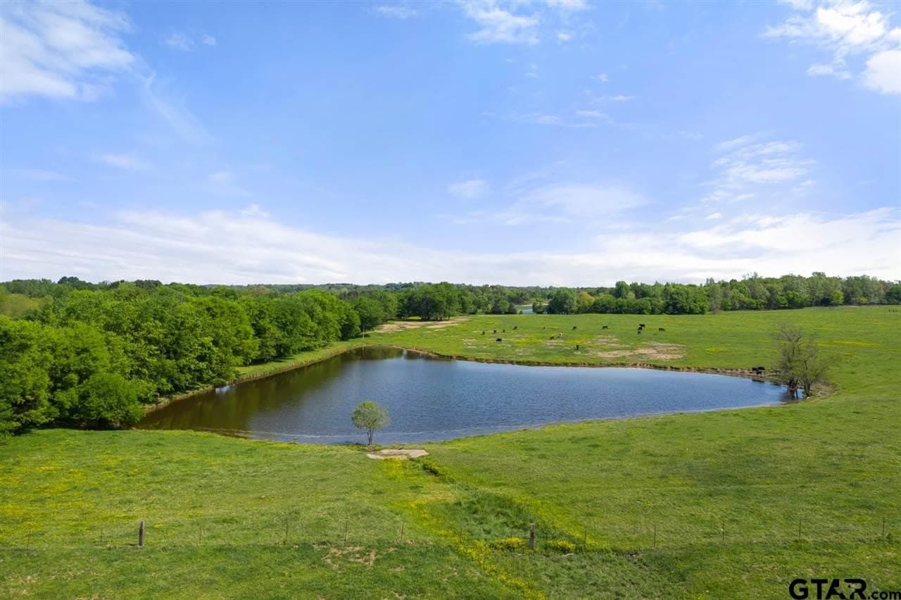 250.5 acres in Titus County - photo 25