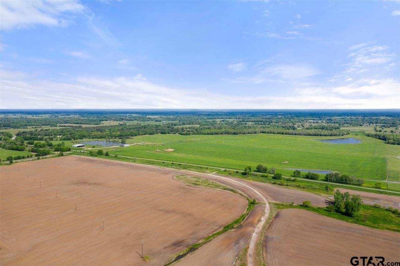 250.5 acres in Titus County - photo 35