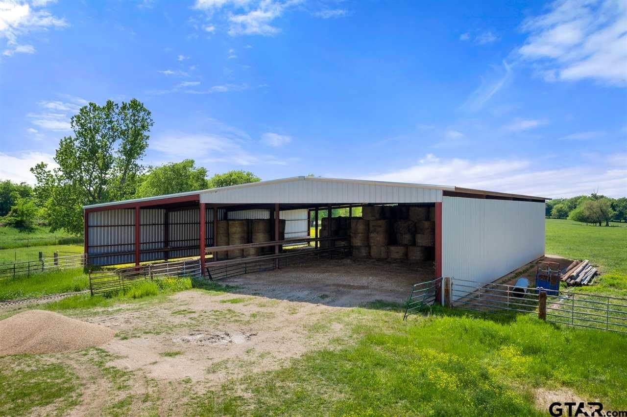 250.5 acres in Titus County - photo 7