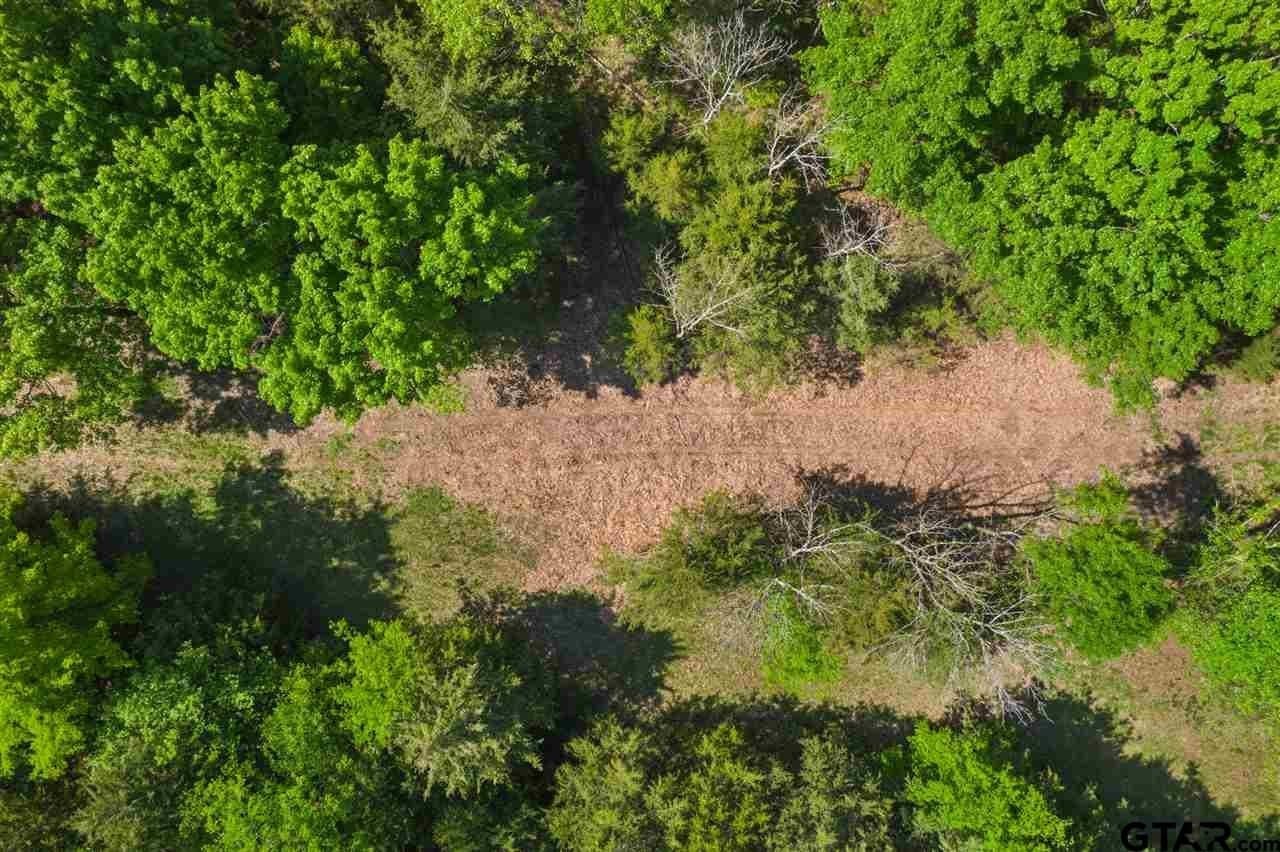 250.5 acres in Titus County - photo 41