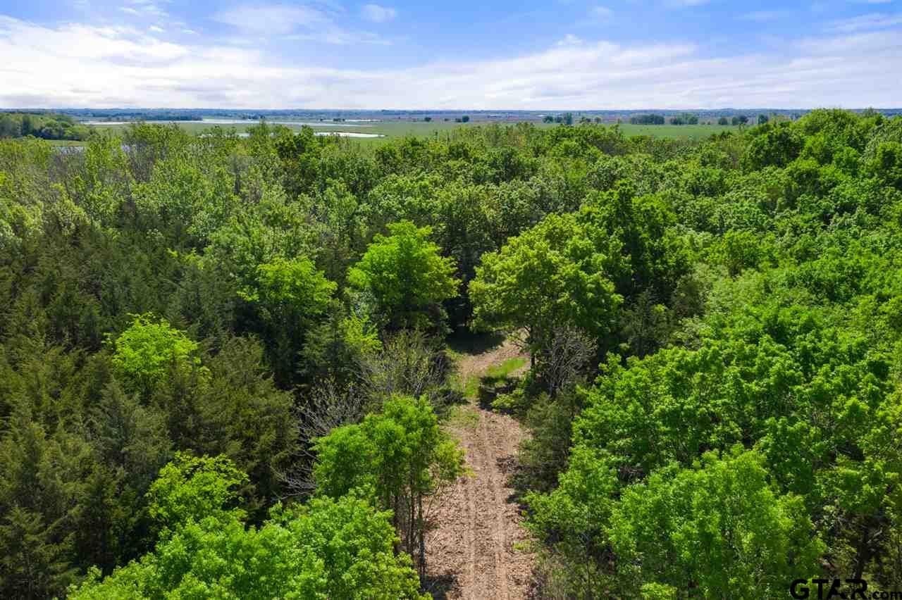 250.5 acres in Titus County - photo 40