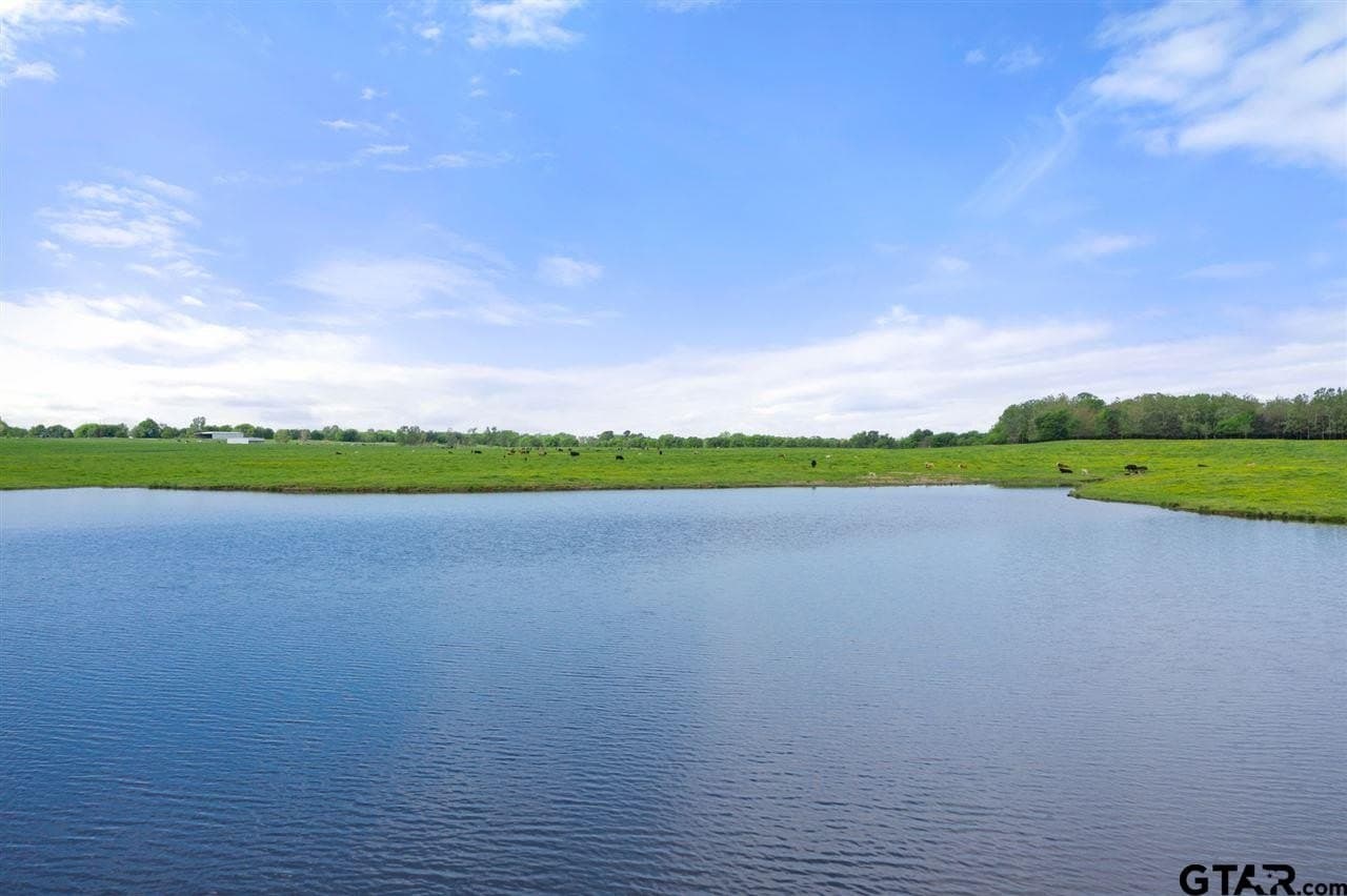 250.5 acres in Titus County - photo 19