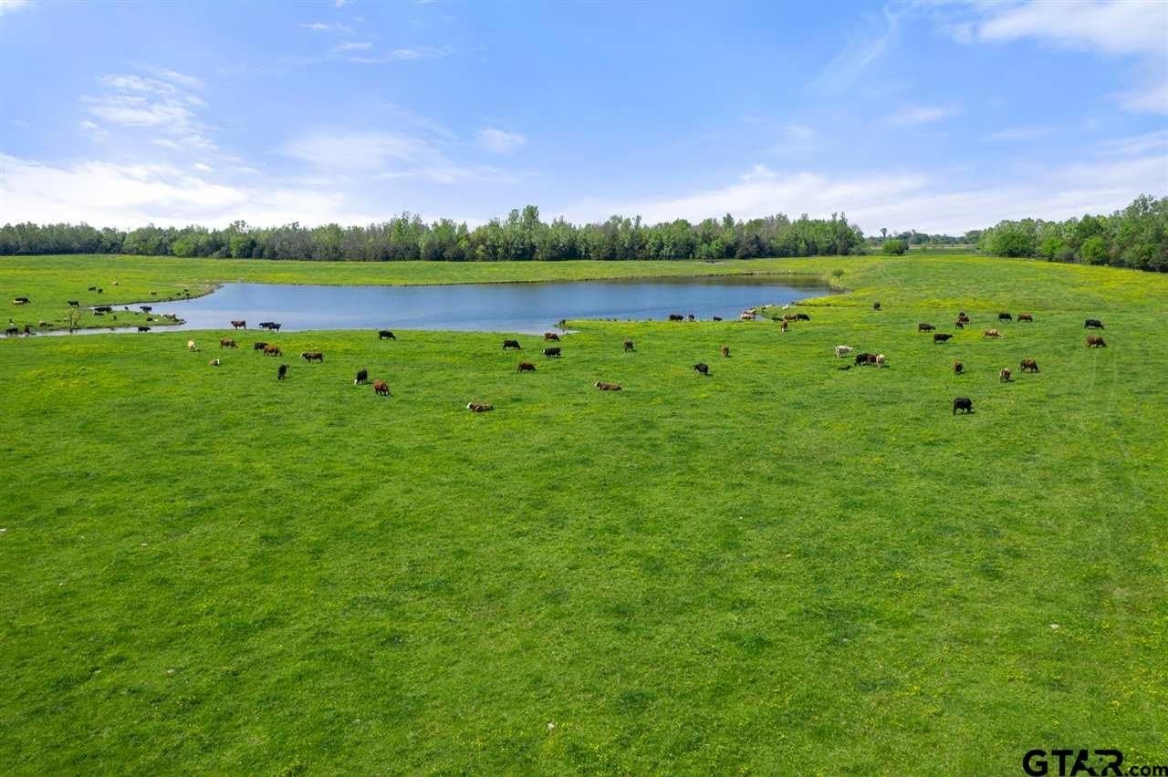 250.5 acres in Titus County - photo 13