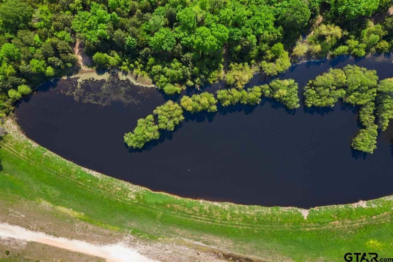 250.5 acres in Titus County - photo 15