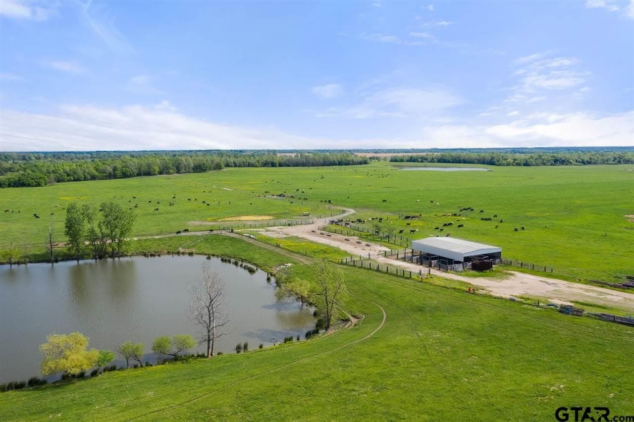 250.5 acres in Titus County - photo 26
