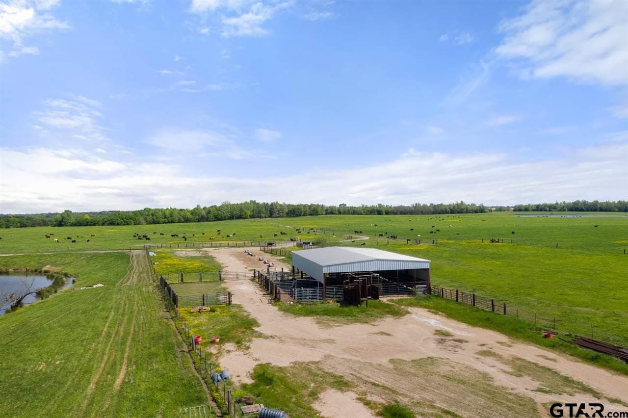 250.5 acres in Titus County - photo 11