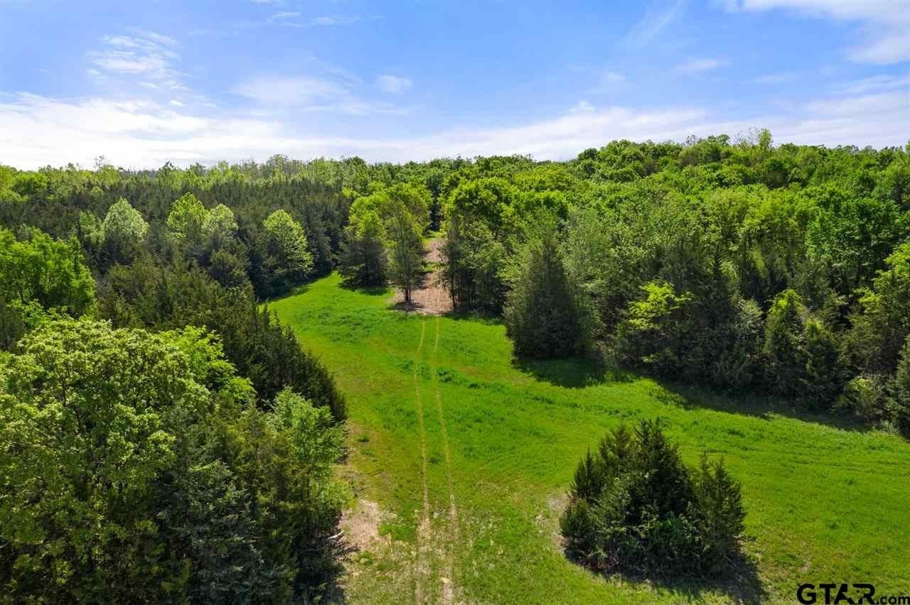 250.5 acres in Titus County - photo 39