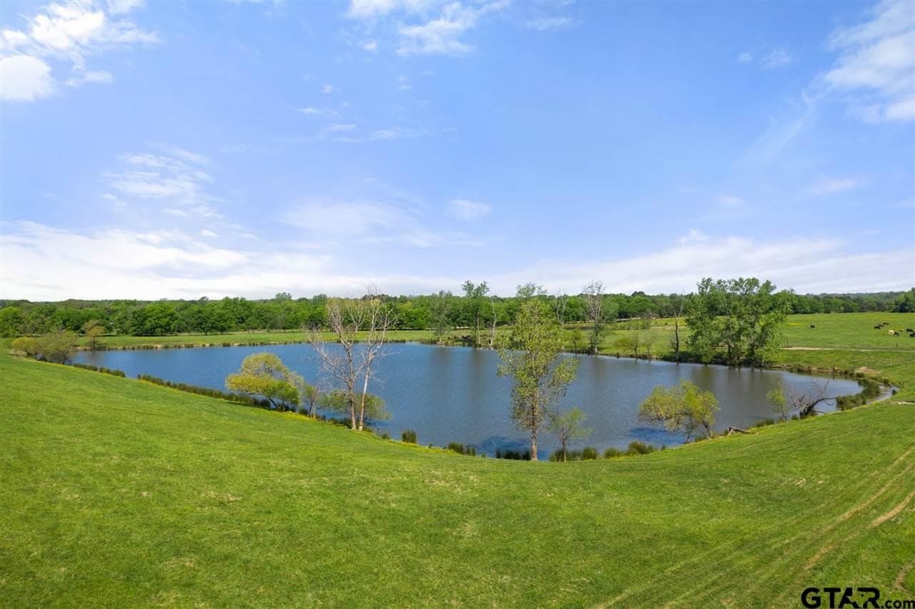 250.5 acres in Titus County - photo 24