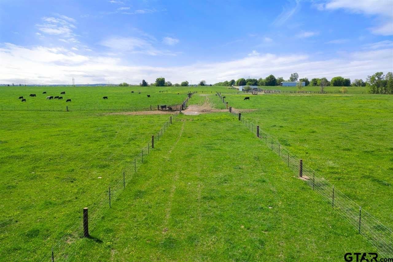 250.5 acres in Titus County - photo 33