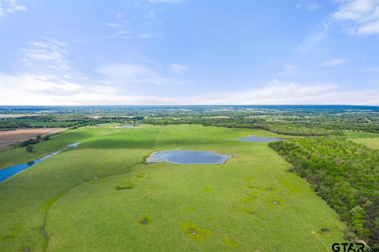 250.5 acres in Titus County - photo 30