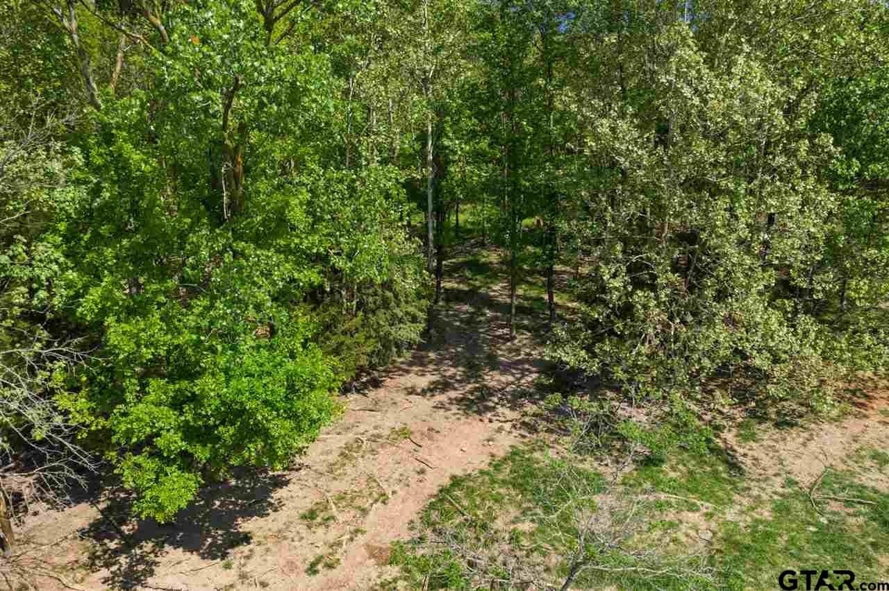250.5 acres in Titus County - photo 38