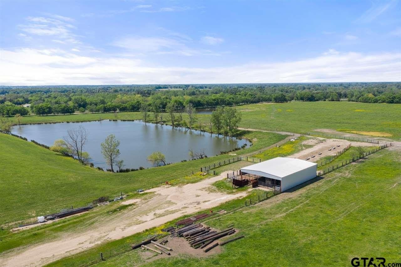 250.5 acres in Titus County - photo 8