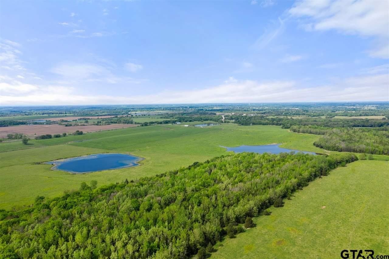 250.5 acres in Titus County - photo 22