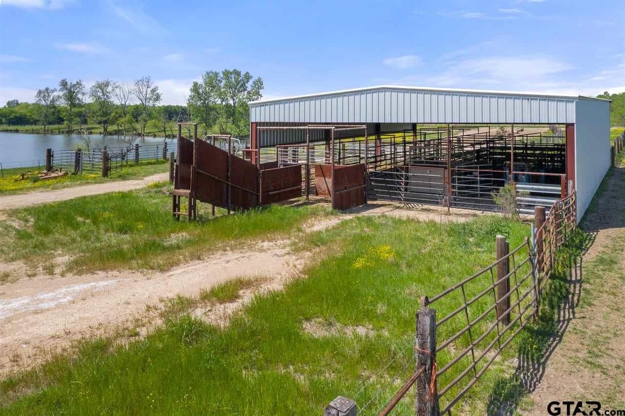 250.5 acres in Titus County - photo 9