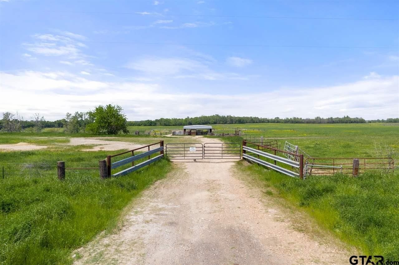 250.5 acres in Titus County - photo 12