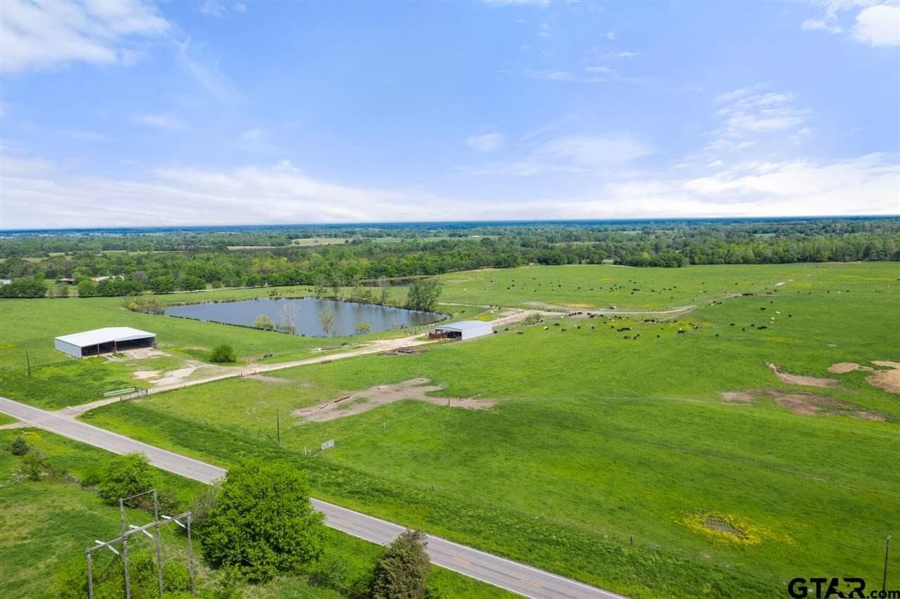250.5 acres in Titus County - photo 36