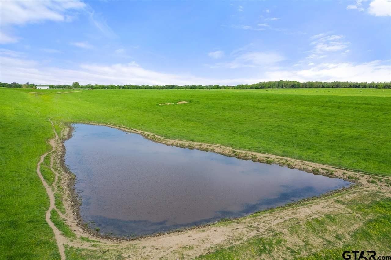 250.5 acres in Titus County - photo 17