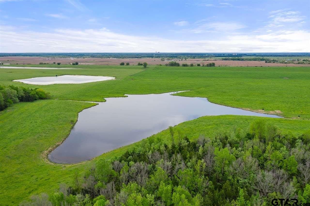 250.5 acres in Titus County - photo 3