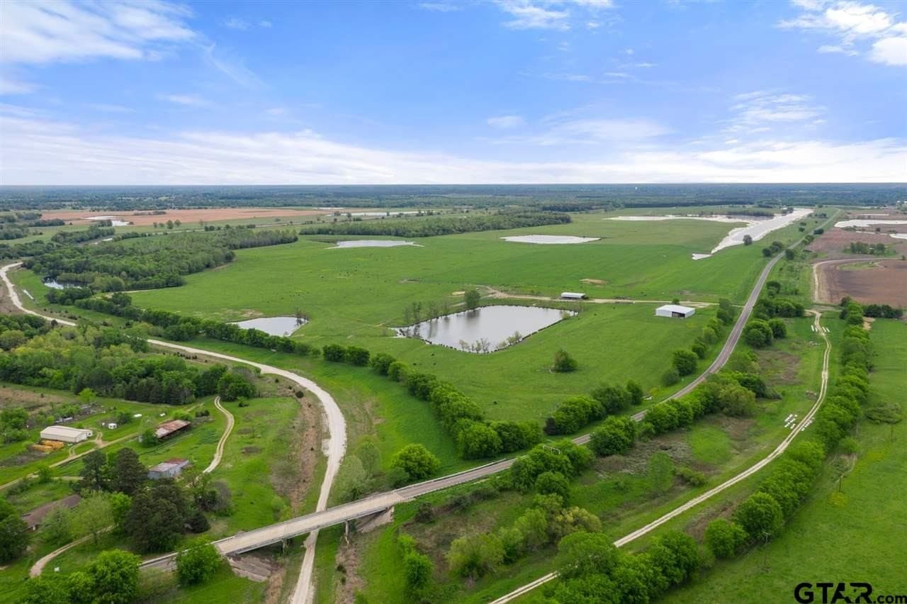 250.5 acres in Titus County - photo 23