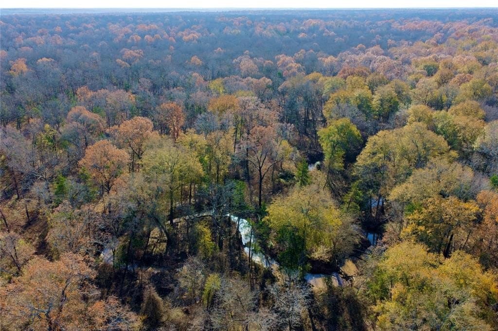 62.58 acres in Lamar County - photo 21