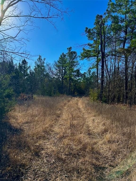 62.58 acres in Lamar County - photo 28