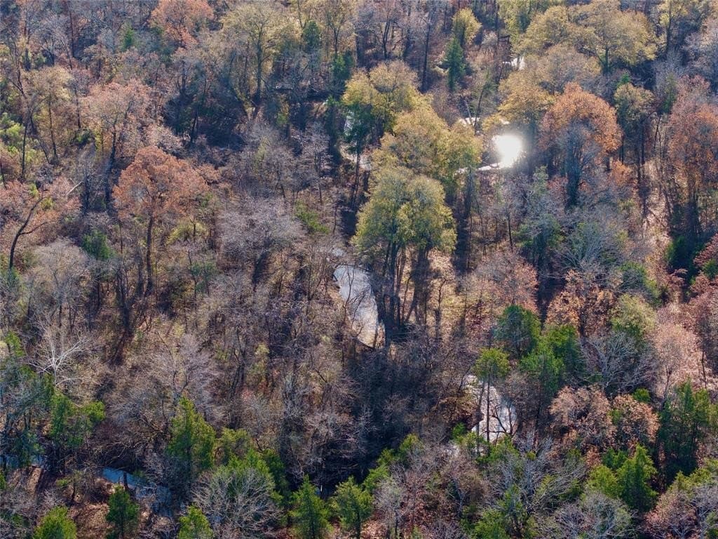 62.58 acres in Lamar County - photo 6