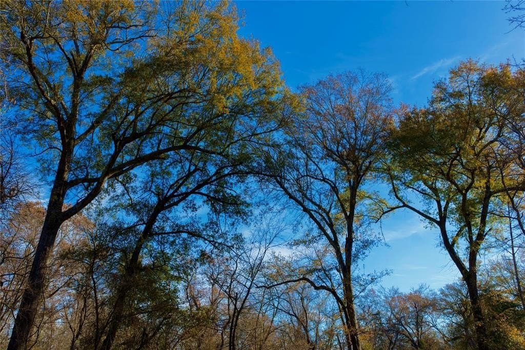62.58 acres in Lamar County - photo 13