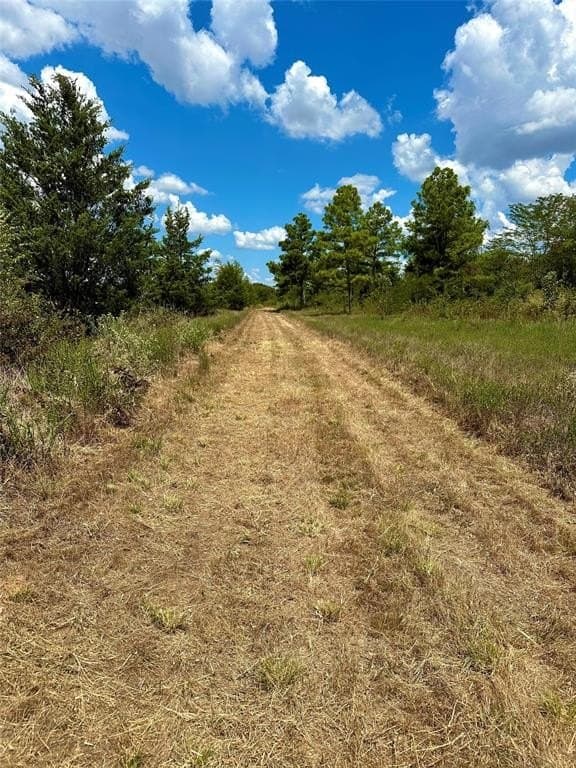 62.58 acres in Lamar County - photo 30