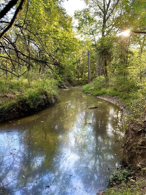 62.58 acres in Lamar County - photo 34